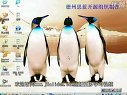 linux內核分析