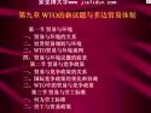 世界貿(mào)易組織法