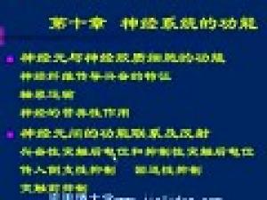 生理學