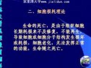 老年護(hù)理學(xué)