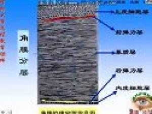 五官護理學
